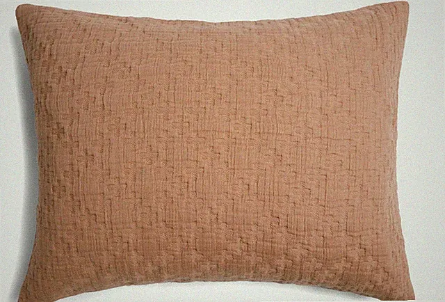 NWD $99 PARACHUTE Desert Set of 2 Cotton King Shams Adobe
